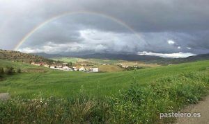 Pastelero bajo el Arco Iris