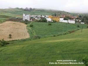 La Barriada Pastelero en Abril de 2017