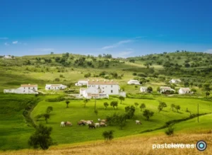 Fotografía restaurada y coloreada de la Barriada Pastelero en Villanueva de la Concepción, con cabras y cielo azul sin nubes.